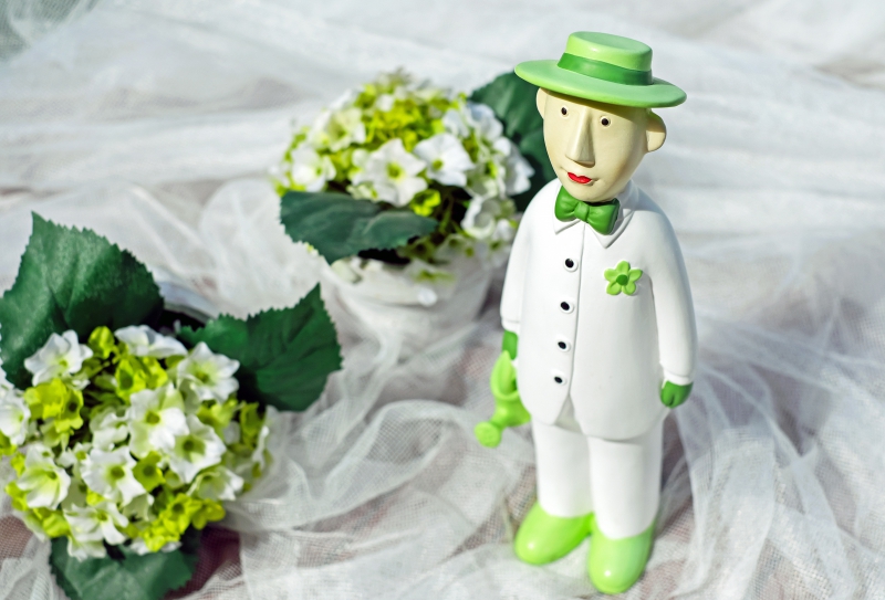 vente-ASCROS-min_man-person-flower-green-toy-fig-546529-pxhere.com